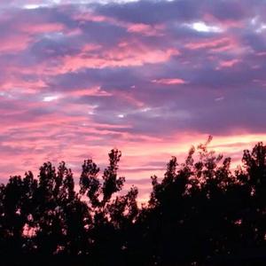 可可爱爱的可莉、把屁股翘起来给我
